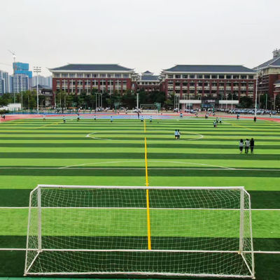 大規模 な 人工 サッカー 場 の 効果的な 排水 システム