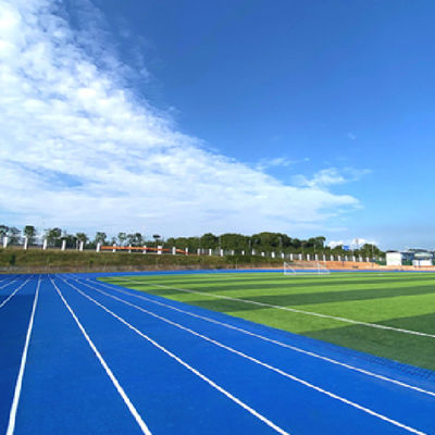 赤と青のスポーツトラック ゴム互換走道