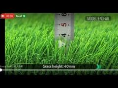 ENO-AU 春の芝生 超リアルな緑色