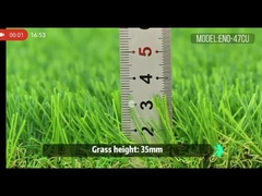 ENO-47CU 秋の庭の芝生