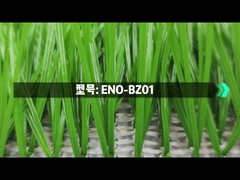 ENO-BZ01 ハイブリッド芝生ベース 自然な成長のための穴をあけた裏付け